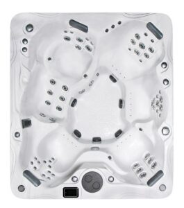 PDC Spas Biscayne